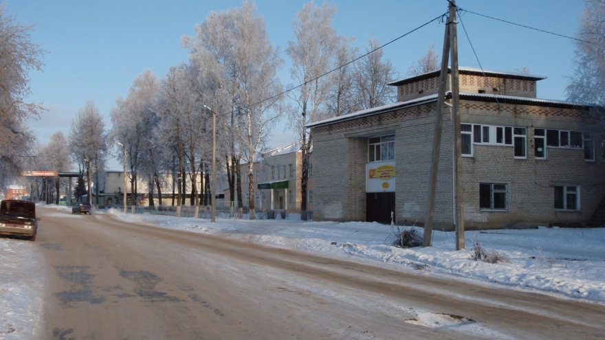 Ракиты в белом наряде