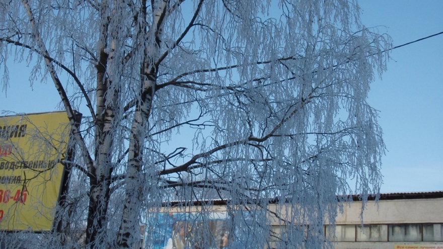 Иней в Людиново