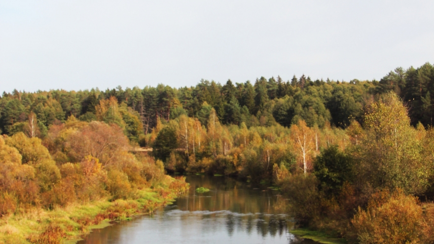 Осень на Болве