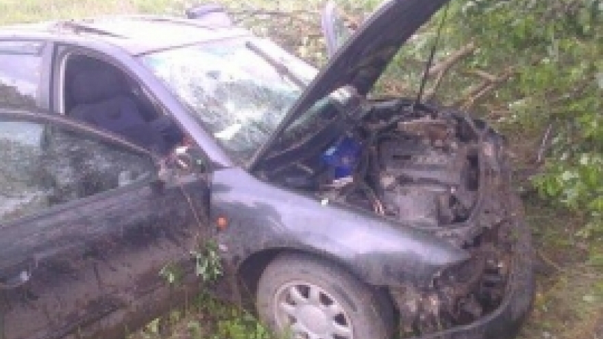 «Ауди» въехала в дерево
