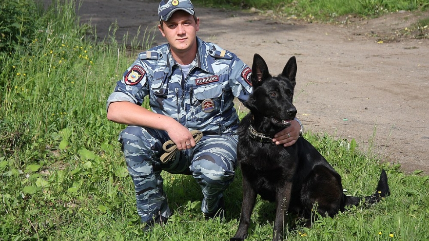 Служит в полиции... Астра