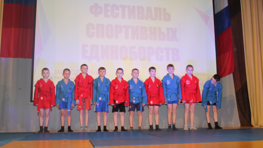 В Людиново прошел фестиваль спортивных единоборств