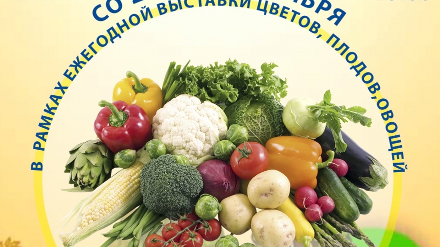 В РДК открывается выставка-конкурс «Моя фазенда»