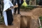 В Людиново перезахоронили сестру героя людиновского сопротивления