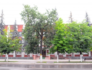 Администрация Людиново и Людиновского района