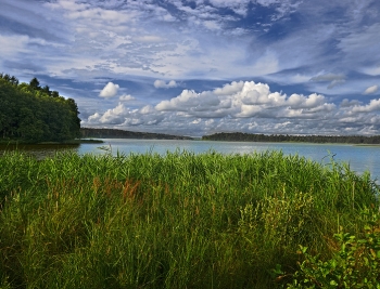 Ломпадь