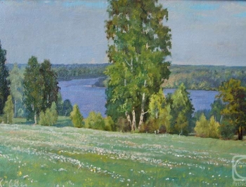 РОДНЫЕ ДАПИ".