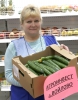 В продажу поступит еще один сорт огурцов и два сорта помидоров из Войлово